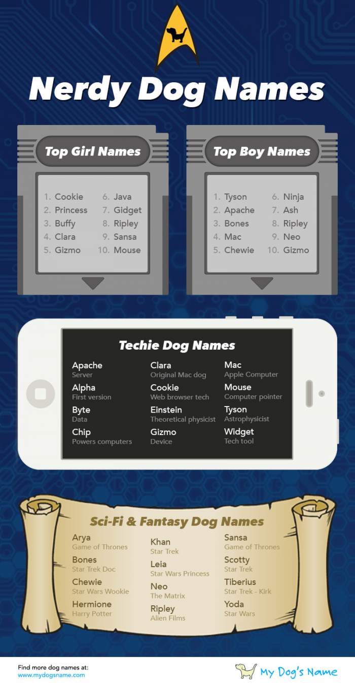 Dog Names 2015