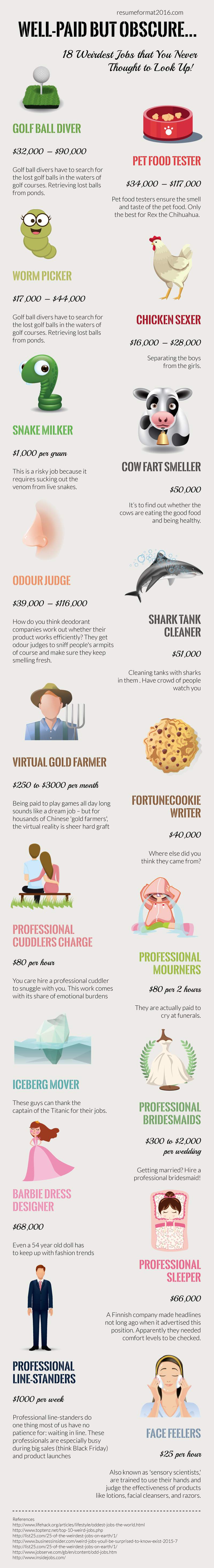 Well Paid But Obscure 18 Weirdest Jobs That You Never Thought To Look Up Infographic Portal