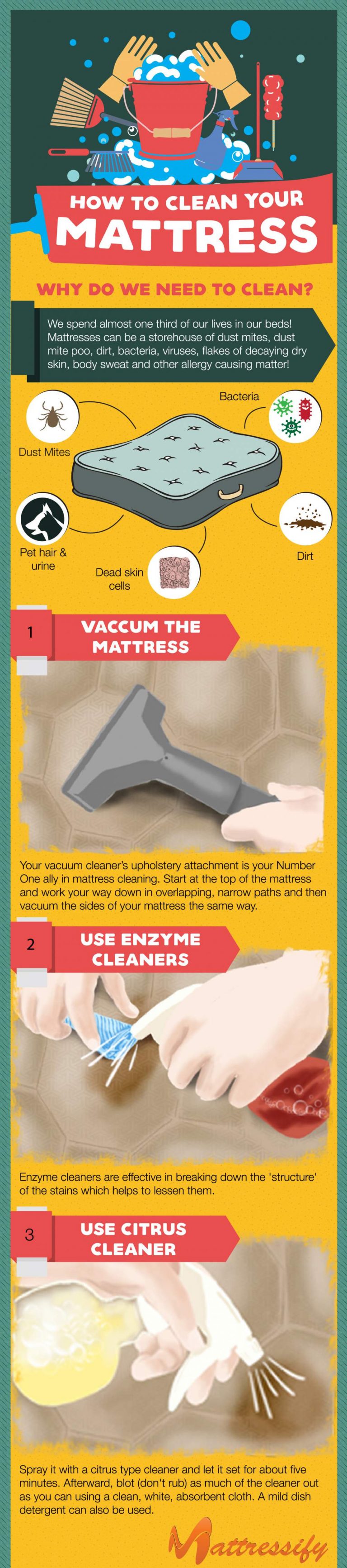 5 Easy Ways to Clean and Freshen Your Mattress Infographic Portal