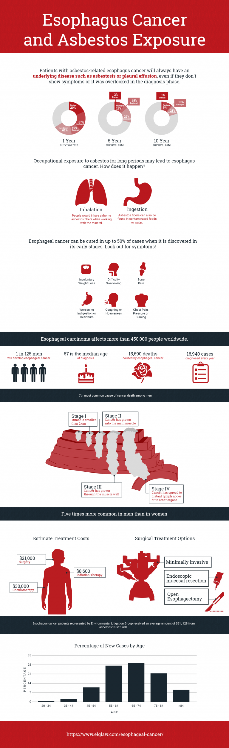 Esophagus Cancer and Asbestos Exposure Infographic Portal