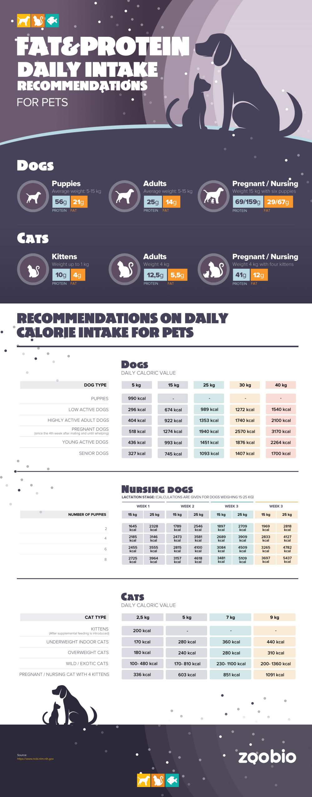fat-protein-daily-recommendations-for-pets