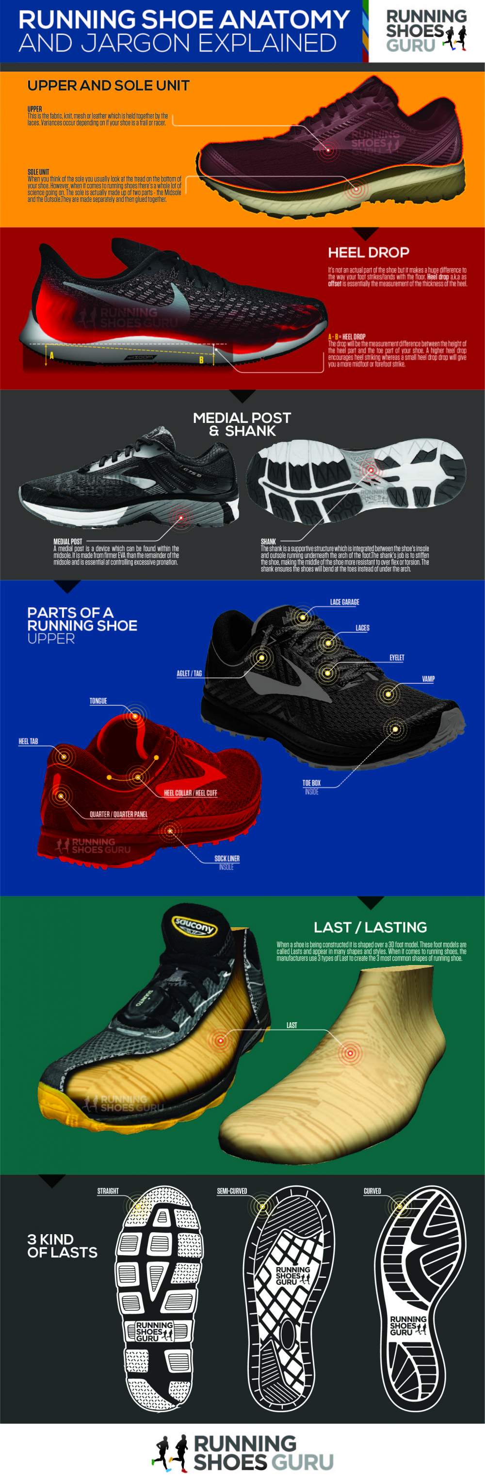 Anatomy of a Running Shoe