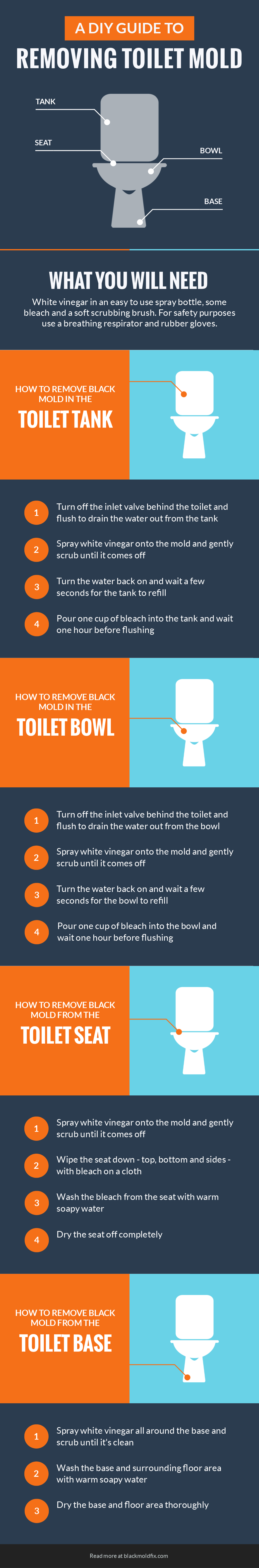 toilet-mold-removal-guide