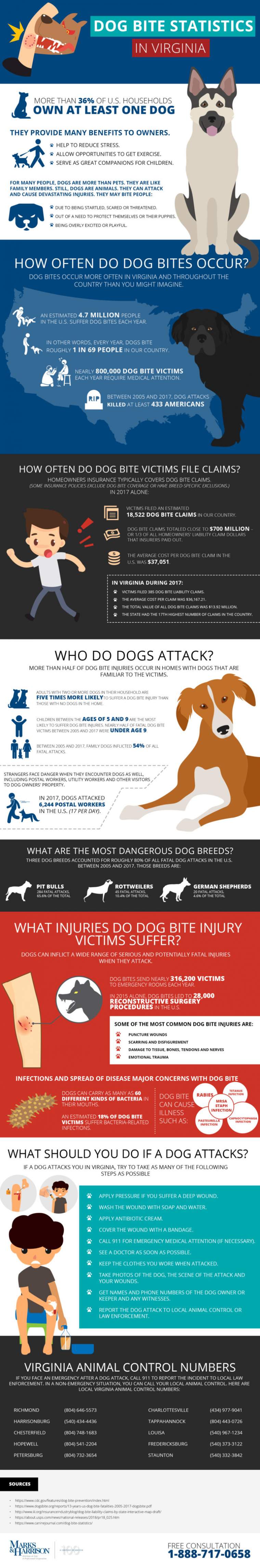 What NOT to Do if an Aggressive Dog Chases After You