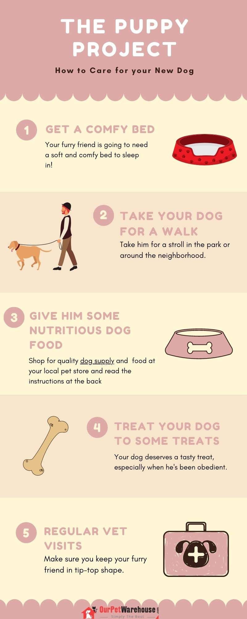 How To Care For Your New Dog - Infographic Portal
