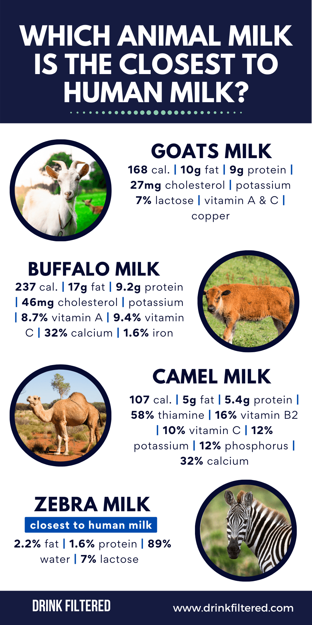 Best Healthy Animal Milk - Infographic Portal
