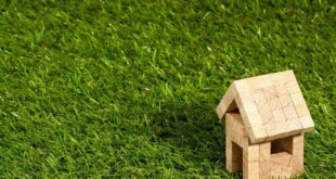 artificial-grass-house-wood